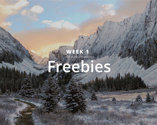 52 Weeks for Earth photo series